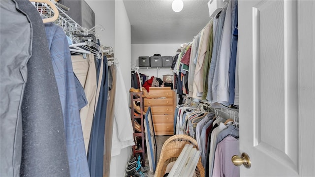 view of spacious closet