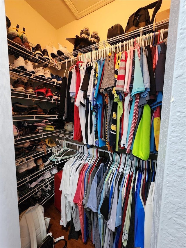 spacious closet featuring wood finished floors