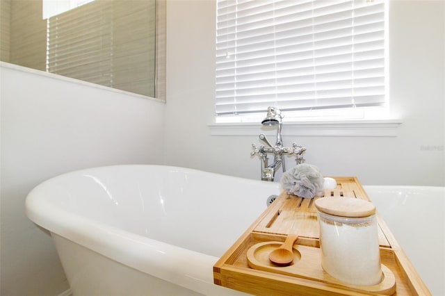 bathroom with a bathing tub