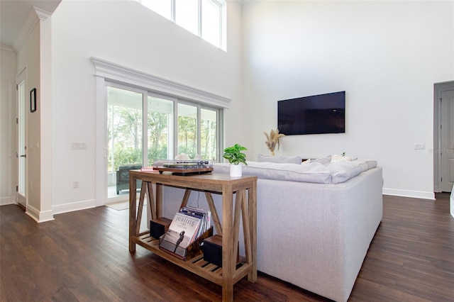 living room with a high ceiling and dark hardwood / wood-style floors