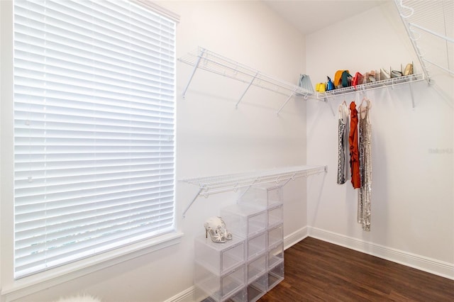 spacious closet with dark hardwood / wood-style flooring