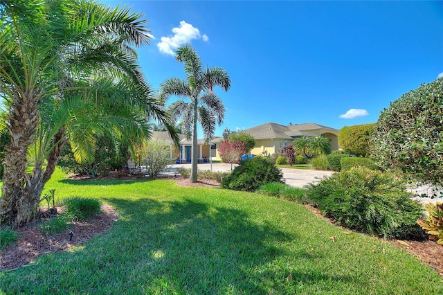 751 Meandering Way, Polk City, FL 33868 - view of yard
