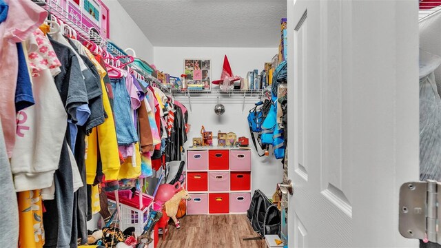 spacious closet featuring wood finished floors