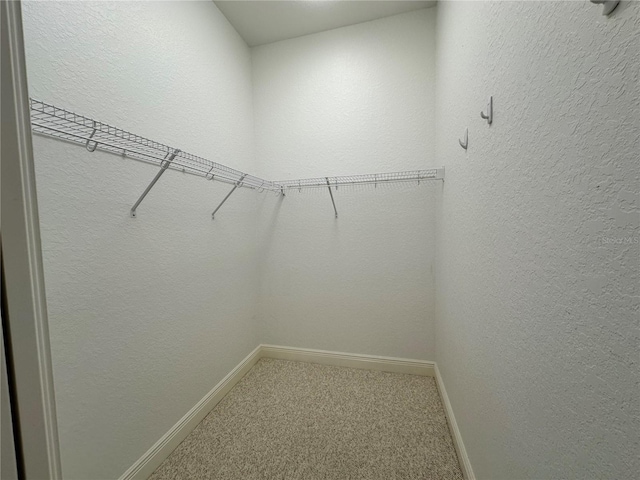 walk in closet with carpet flooring