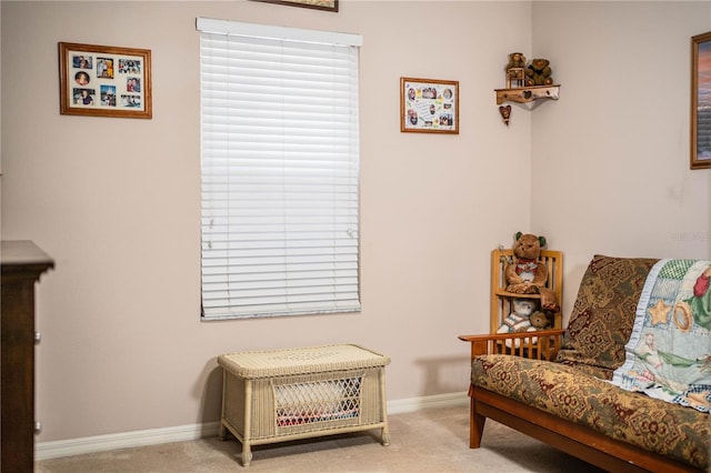 living area featuring carpet floors