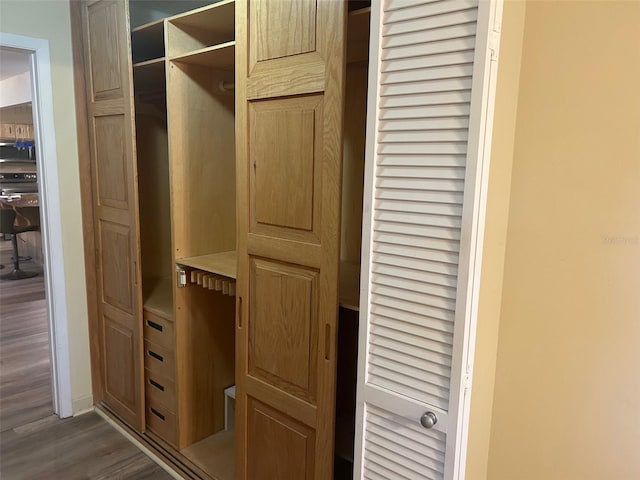 view of closet