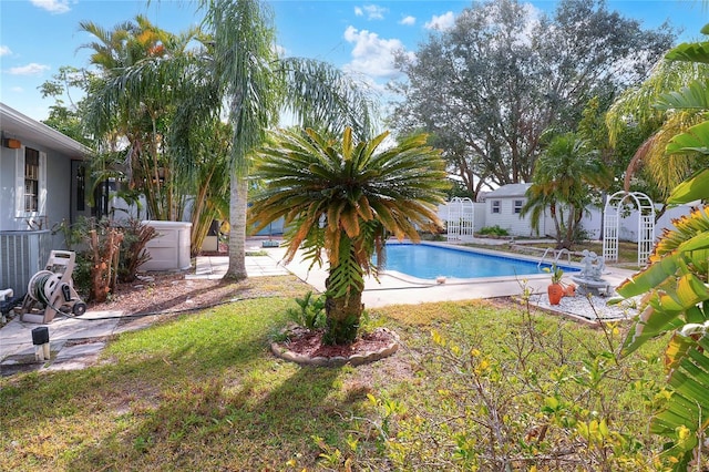 view of pool with a yard