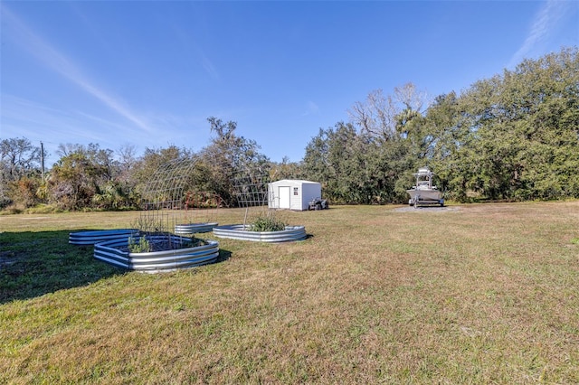 view of yard featuring a storage shed