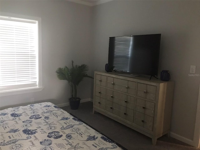 carpeted bedroom with multiple windows