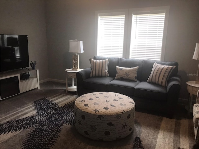 living room with baseboards