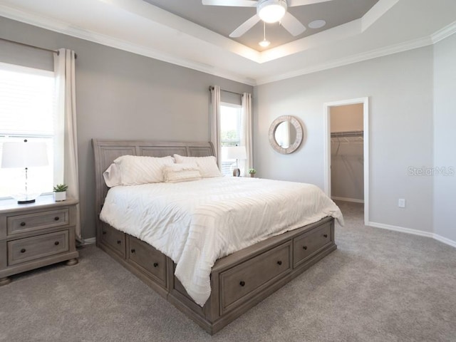 carpeted bedroom with a spacious closet, ceiling fan, a tray ceiling, crown molding, and a closet