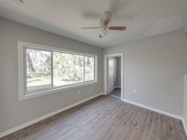 interior space featuring ceiling fan and light hardwood / wood-style floors