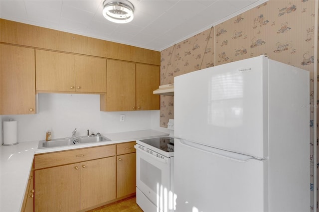 kitchen with sink, light brown cabinets, and white appliances