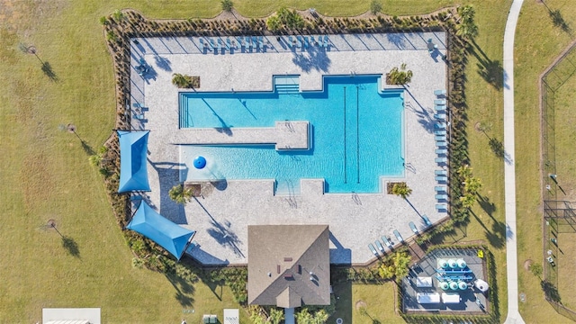 bird's eye view