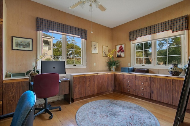 office space with ceiling fan and light wood-type flooring