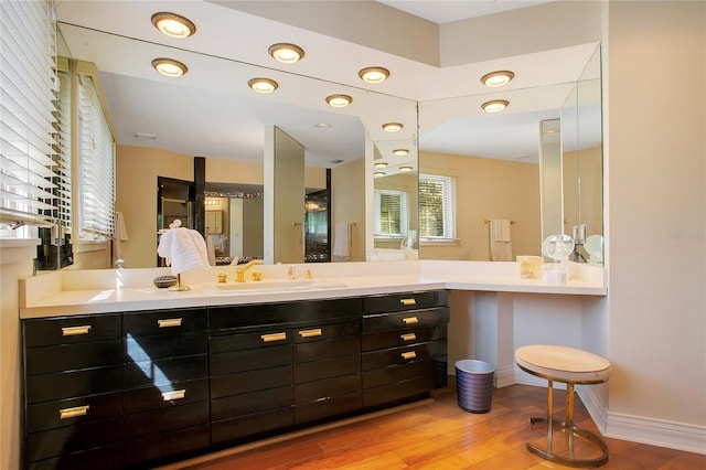 bathroom with vanity and wood-type flooring