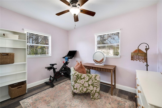 office space featuring dark wood-type flooring and ceiling fan