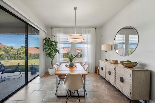 dining area featuring a healthy amount of sunlight