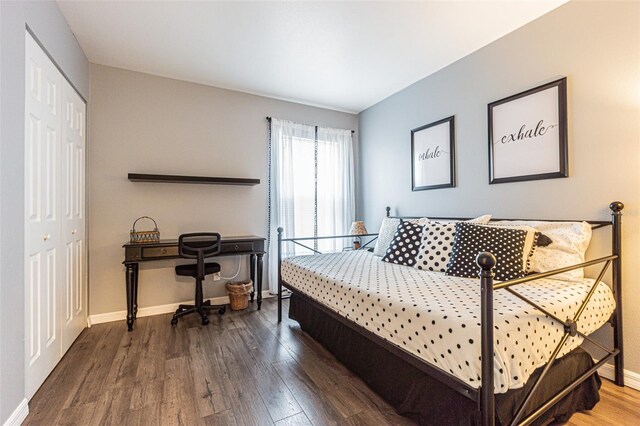 bedroom featuring wood-type flooring and a closet