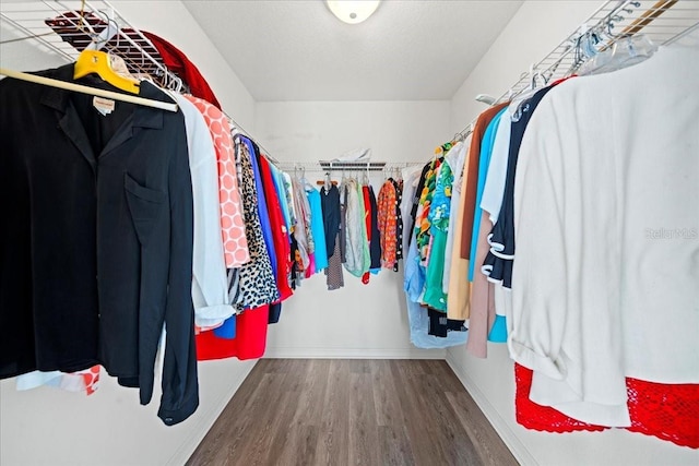 walk in closet featuring wood-type flooring