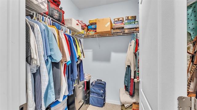 walk in closet with carpet flooring