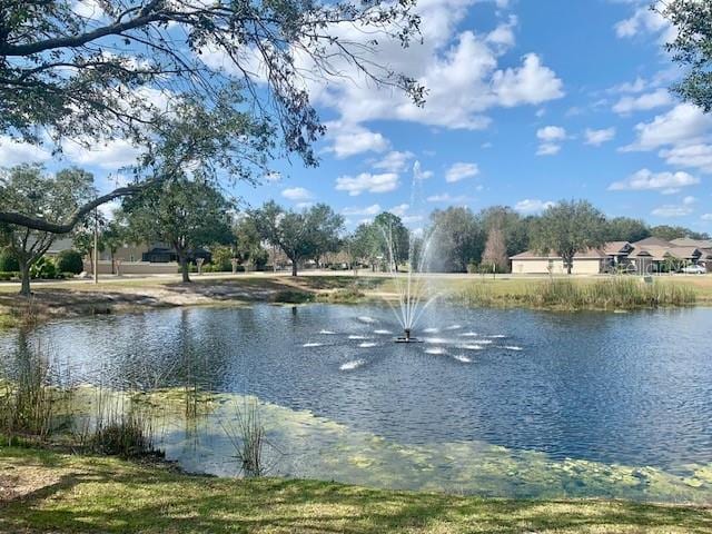 view of water feature