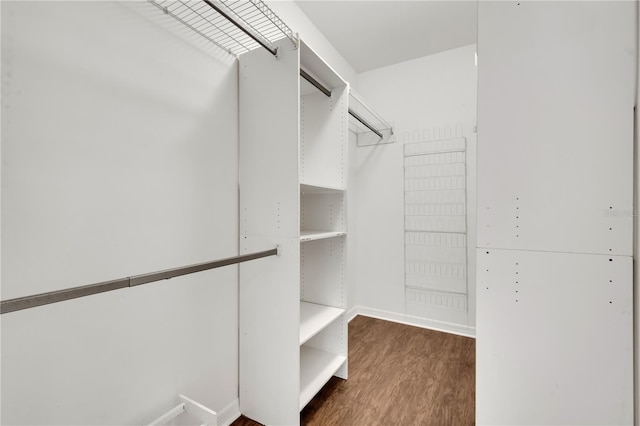 walk in closet featuring dark wood finished floors