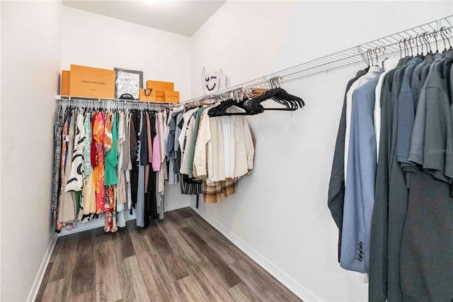 walk in closet with hardwood / wood-style flooring