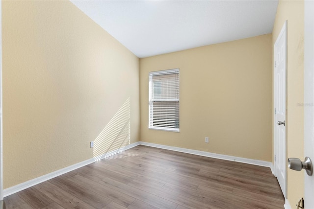 spare room featuring wood-type flooring