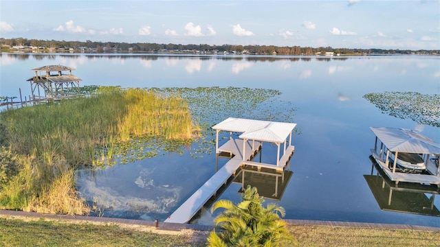 dock area with a water view