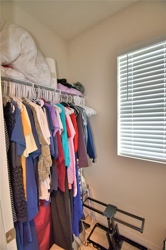 view of spacious closet