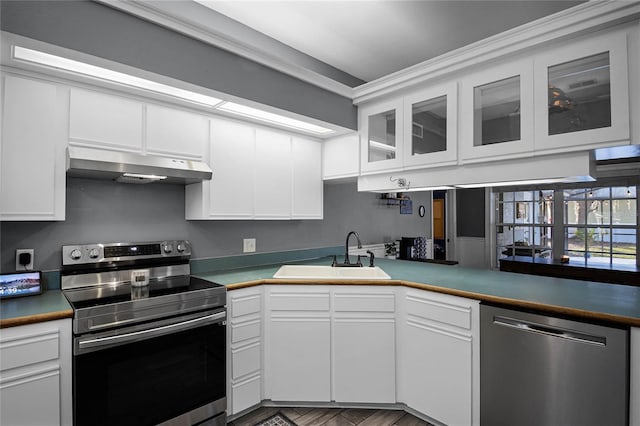 kitchen with white cabinetry, stainless steel appliances, and sink