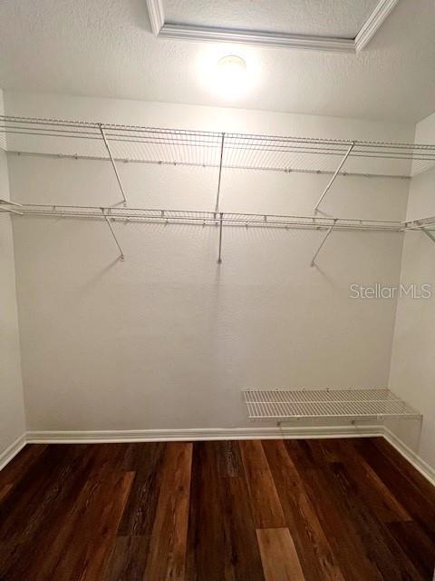 walk in closet with wood-type flooring