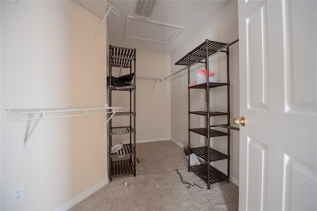 walk in closet featuring light colored carpet