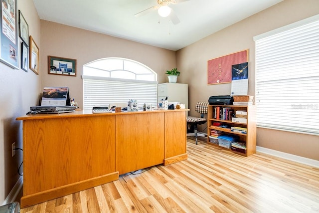 office space featuring hardwood / wood-style floors and ceiling fan