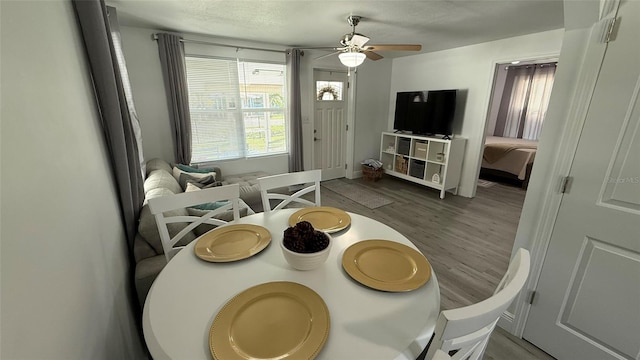 living room featuring hardwood / wood-style floors and ceiling fan