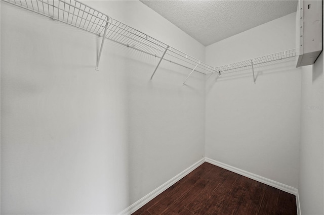 walk in closet with hardwood / wood-style flooring