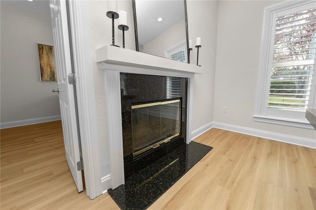 details featuring hardwood / wood-style floors and a fireplace