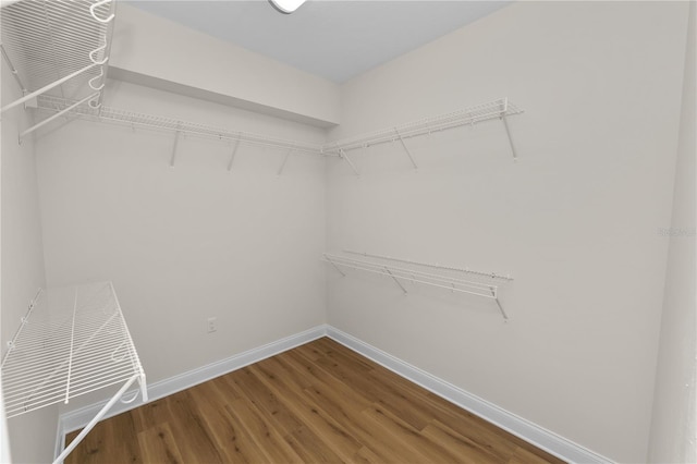 spacious closet with hardwood / wood-style floors