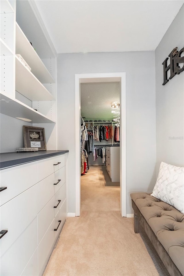 spacious closet with light carpet