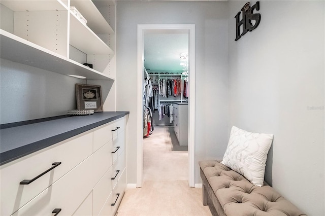 walk in closet with light colored carpet