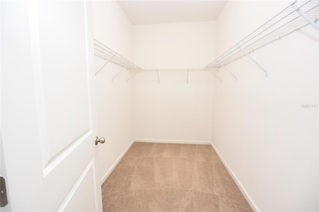 spacious closet with light carpet