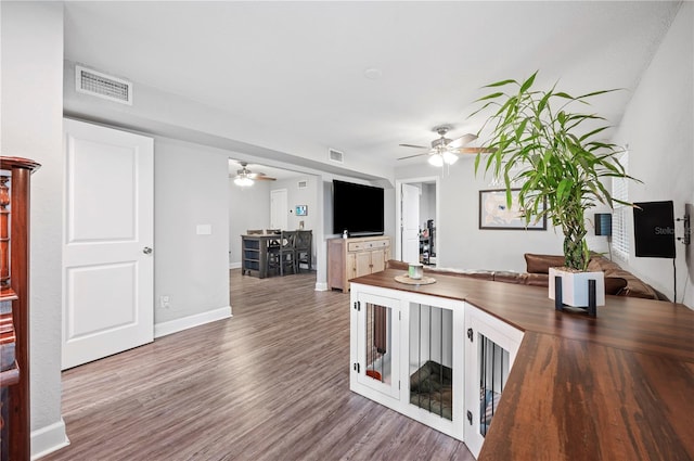 kitchen with hardwood / wood-style flooring, butcher block countertops, and ceiling fan