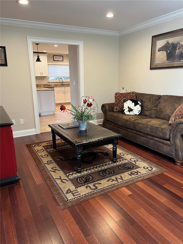 living room with sink, dark wood-type flooring, and ornamental molding