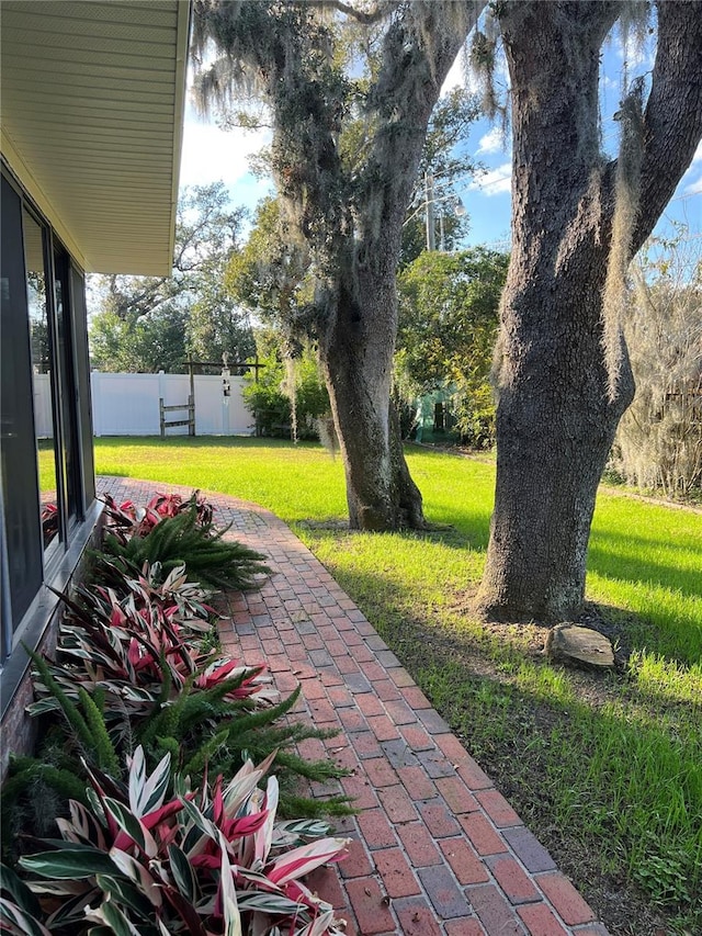 view of yard featuring a patio