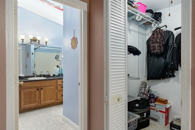 spacious closet featuring sink