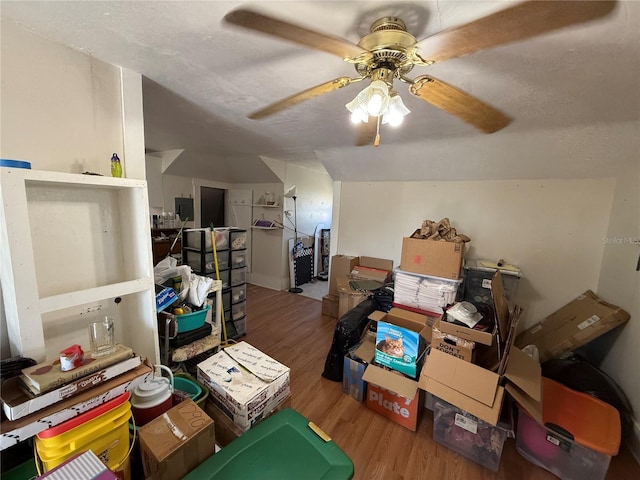 interior space with ceiling fan