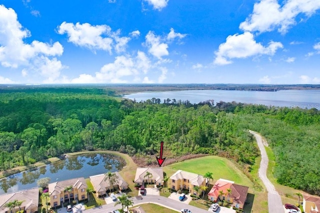 bird's eye view with a water view