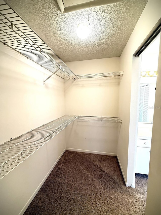 spacious closet featuring dark carpet