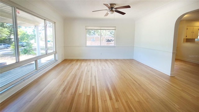 spare room featuring ceiling fan, plenty of natural light, and light hardwood / wood-style floors